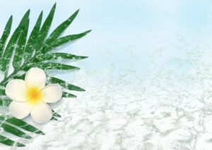 行政書士の業務の勉強会に参加してきました