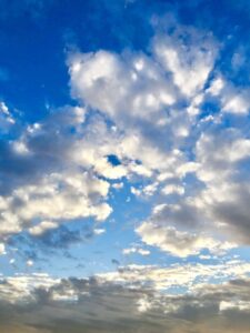 労働者派遣許可申請の仕事がひと段落🍀