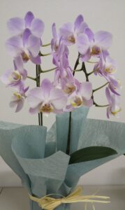 新たな目標ができました