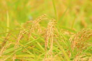 行政書士の新入会員研修会に参加してきました