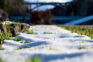 成年後見人になるための考査を受けてきました(^^ゞ