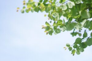 社労士会の新入会員研修会に参加してきました🍀