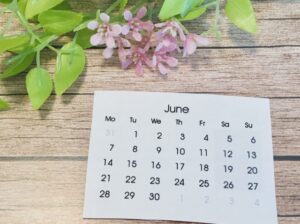 開業1周年🌼に向けてクラウドシステム導入準備を進めております('◇')ゞ