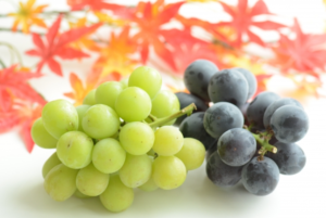 士業こぼれ話🍀開業士業が自分の仕事以外に参加している活動について🌟