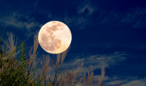 【お役立ちミニ講座Vol.15】令和４年度は育児介護休業法が大幅改正！何をどのようにやっていけば良いのか？要点まとめ（改正内容対応編）