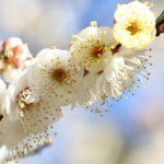 【お役立ちミニ講座Vol.18】事業主様必見！就業規則を自社で作成または専門家に依頼する前に一度は見て欲しいあれこれ🌟