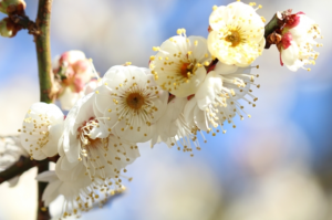 【お役立ちミニ講座Vol.18】事業主様必見！就業規則を自社で作成または専門家に依頼する前に一度は見て欲しいあれこれ🌟