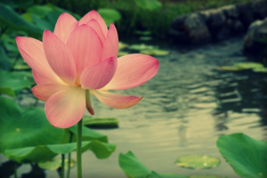 【お役立ちミニ講座Vol.20】人事労務関係のITシステム化を目指す前に予め知っておきたいことを余すことなくお伝えします(^^ゞ