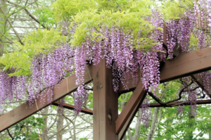 【お役立ちミニ講座vol.24】変形労働時間制について徹底解説！その１：１か月単位の変形労働時間制について