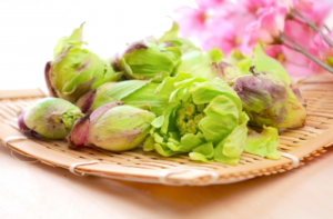 勤怠管理システムKING OF TIMEのショールーム見学と公的年金の実践研修で東京に行ってきました🗼