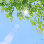 【お役立ちミニ講座vol.29】６５歳までの高年齢者雇用確保措置が完全義務化！高年齢者の雇用管理に関するお役立ち情報をまとめてみました📔