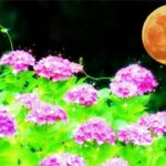 ６月１５日で開業５年目に突入🎉情報共有管理ツール「Ｓｔｏｃｋ」でスポット業務の効率化と情報の集約化と断捨離を始めました！