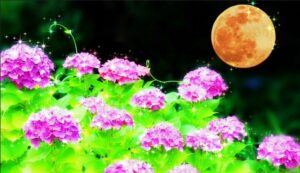 ６月１５日で開業５年目に突入🎉情報共有管理ツール「Ｓｔｏｃｋ」でスポット業務の効率化と情報の集約化と断捨離を始めました！